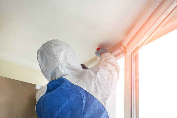 Best Commercial Mold Inspection in Frent Hills, MO