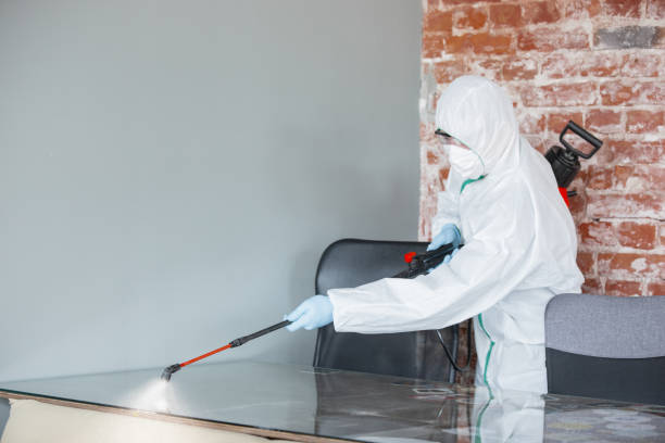 Best Mold Odor Removal Services in Frent Hills, MO