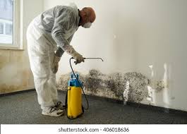 Reliable Fremont Hills, MO Mold Removal Solutions